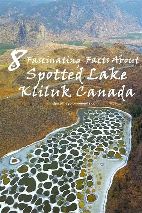 8 Fascinating Facts About Spotted Lake Kliluk Canada Canada Travel