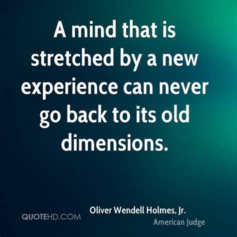 A Mind That Is Stretched By A New Experience Can Never Go Back To Its