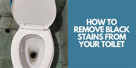 Black Stains In Your Toilet Bowl How To Remove Them