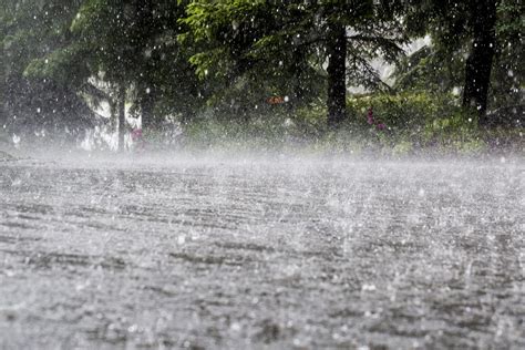 Heavy Rains Massive Winds Gusts Forecast In Kerala Till Monday State