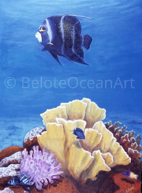 Angel Fish Above Caribbean Reef Sea Life Art Business Underwater