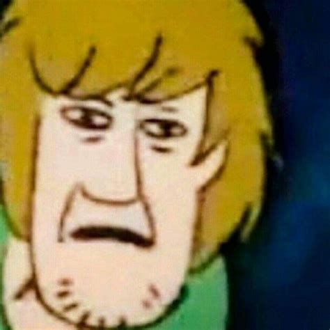 Pin By Pez On Random Mood Memes Scooby Doo Images Shaggy Memes
