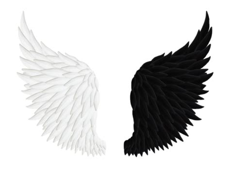 Angel Wings Png Transparent Image