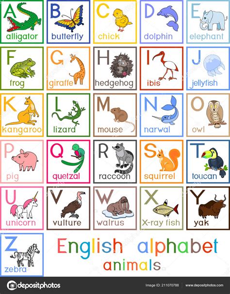 Colorful English Alphabet Pictures Different Cartoon Animals Titles