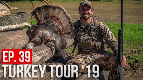A Weird Day Of Turkey Hunting In Wisconsin Turkey Tour Wrap Up Youtube
