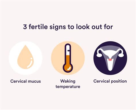 Fertile Signs Ovulation Symptoms To Know About Parla