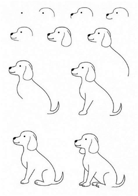 Easy Drawing Ideas For Beginners Step By Step Animals Easy Animals