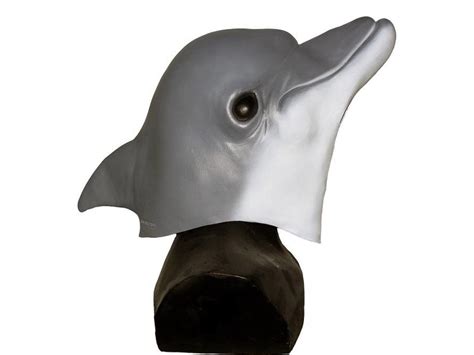 Dolfijnmasker Vis Maskers MisterMask Nl