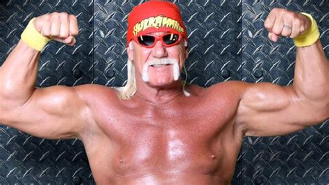 Wwe Sacks ‘racist’ Wrestler Hulk Hogan