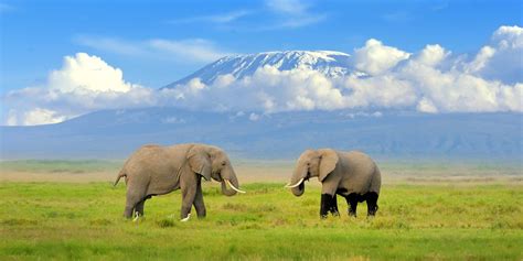 Amboseli National Park Sima Safari