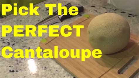 We did not find results for: How To Pick A Cantaloupe-Choosing A Ripe Melon - YouTube