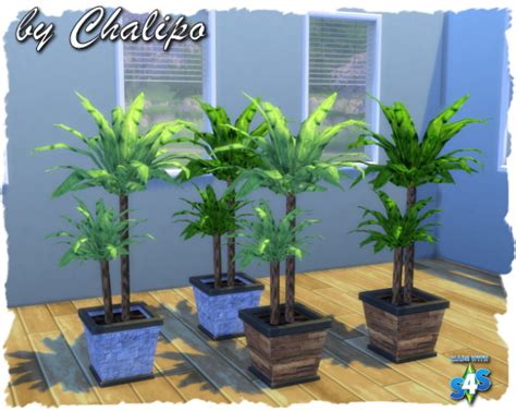 Potted Palm By Chalipo At All 4 Sims Sims 4 Updates