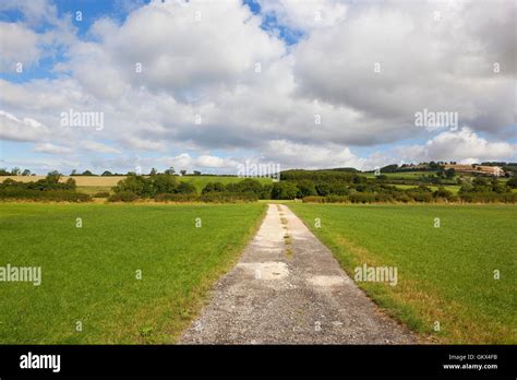 A Stoned Farm Track Through Green Meadows In The Scenic Countryside Of