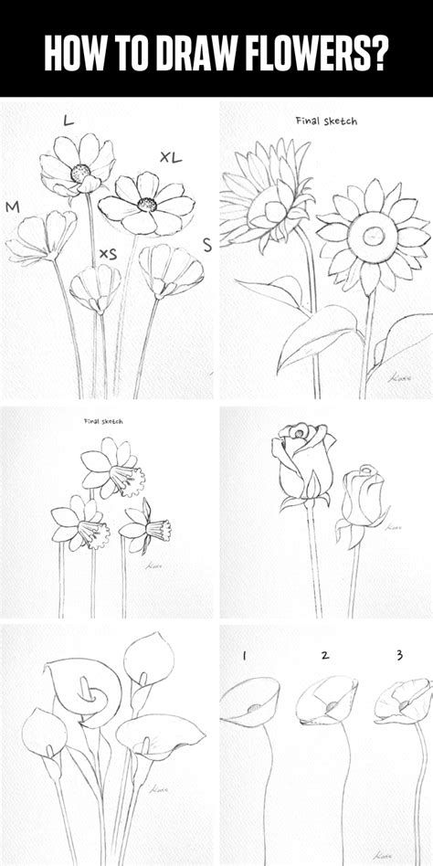 Flower Drawings Step By Step ~ How To Draw A Flower Step By Step Image