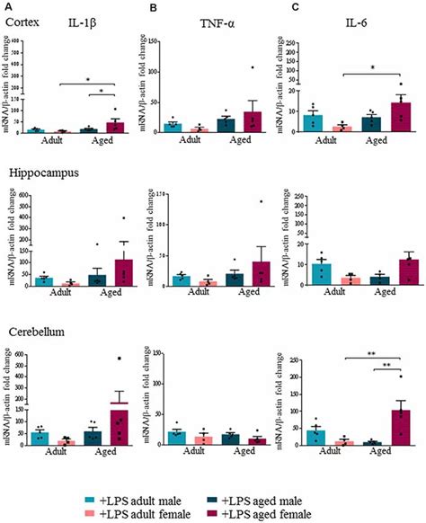 Frontiers Age And Sex Influence The Neuro Inflammatory Response To A