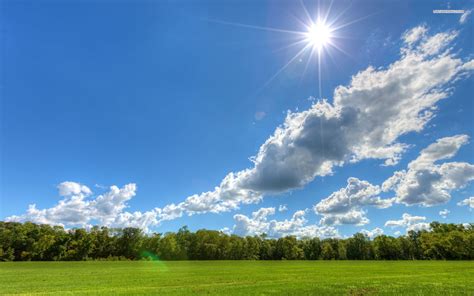 Image Result For Day Sky Sunny Pictures Summer Trees Tree Desktop