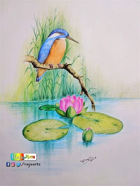 Pin By Crafts On Child Nature Art Drawings Color Pencil Art Color Pencil Illustration