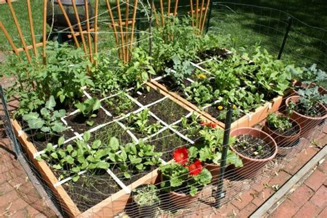 Veggie Garden Vegetable Garden For Beginners Backyard Vegetable