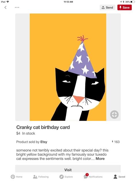 Pin By Amy Gentner On Cards Cat Birthday Card Cat Birthday Cranky Cat