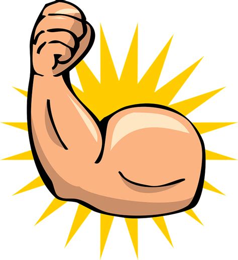 Muscles Clipart Bicept Muscles Bicept Transparent Free For Download On