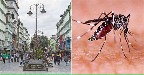Kerala Zika Virus Update Tourists Thronging Gangtok Amid COVID More
