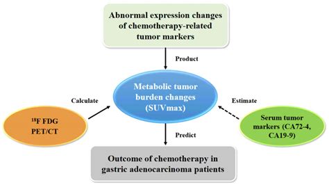 Suvmax Of 18f Fdg Petct Correlates To Expression Of Major Chemotherapy