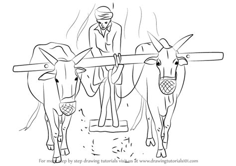 Learn How To Draw A Farmer Working In The Farm Other Occupations Step