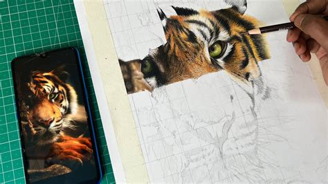 Drawing Tiger With Color Pencil Step By Step Tutorial Youtube