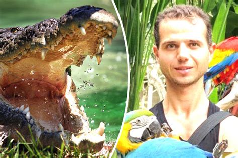Tourist Mauled To Death By Saltwater Crocodile Near Papua New Guinea