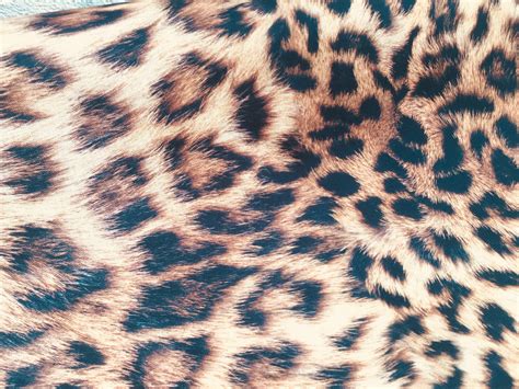 Digi Leopard Fur Print Cotton Fabric For Curtains Upholstery Panther