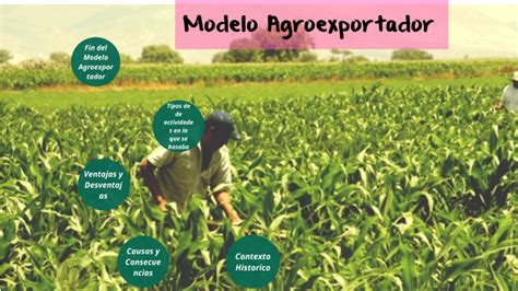 Modelo Agroexportador By Sofia Barrios