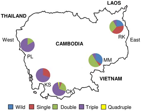 data cambodia sahabat