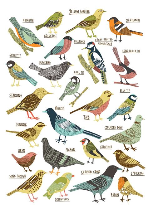 Katebird By Kate Sutton With Images Bird Drawings Bird