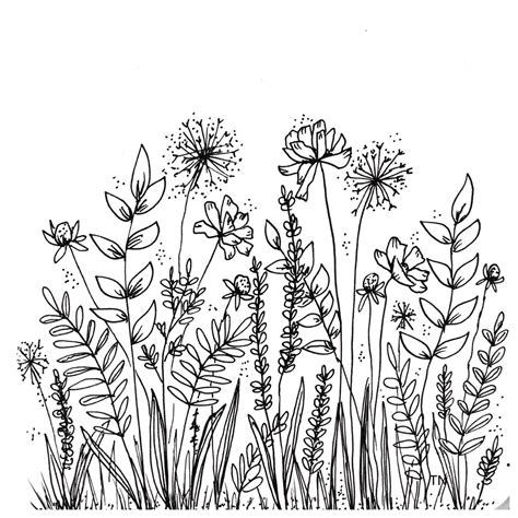 Download transparent flowers png for free on pngkey.com. Botanical Line Drawings and Doodles