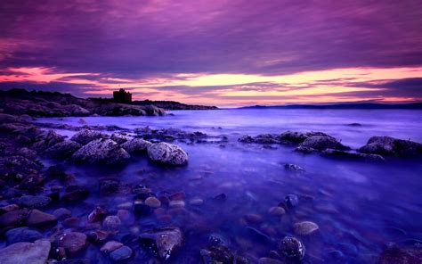 Purple Sunset Wallpaper 2560x1600 75580