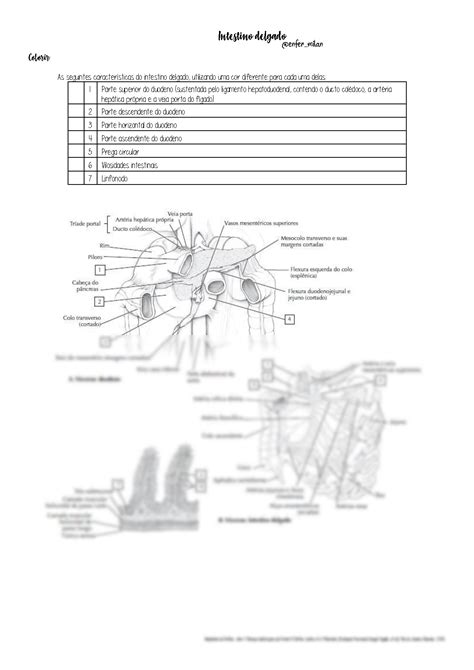 Solution Digestive System Studypool