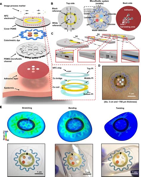 A Soft Wearable Microfluidic Device For The Capture Storage And Colorimetric Sensing Of Sweat