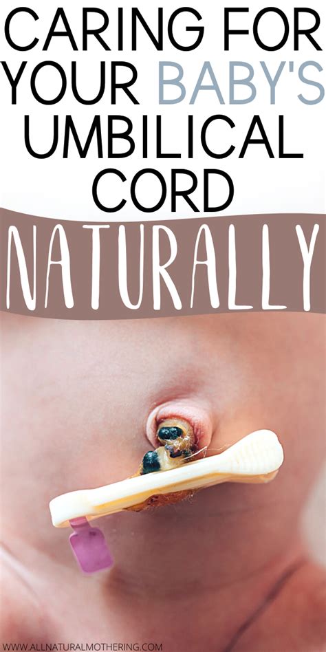 Umbilical Cord Care Natural Remedies For Faster Healing Newborn