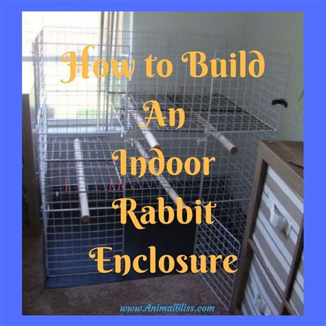 How To Build An Indoor Rabbit Enclosure Diy Bunny Hutch