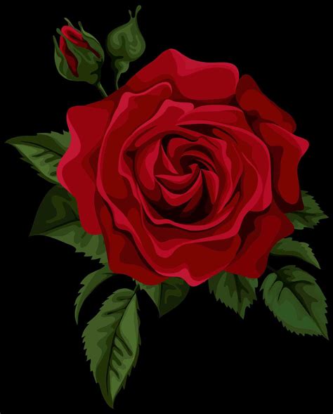 Red Rose Wallpaper Desktop 60 Pictures