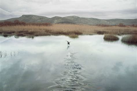 Serene Photographs Of Isolated Landscapes And Lone Animals By Petros