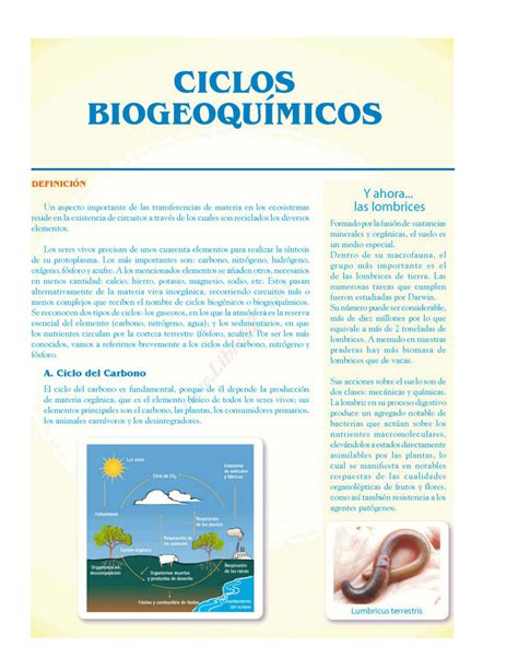 Solution Biologia Ciclos Biogeoqu Micos Studypool