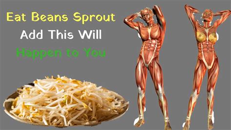 eat beans sprout and this will happen to you 7 amazing benefits youtube