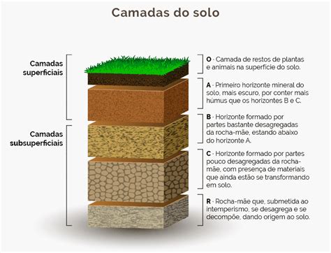 Tipos De Solo No Brasil Conheça Aqui Quais São Eles