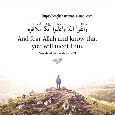 And Fear Allah English Ummat E Nabi Com