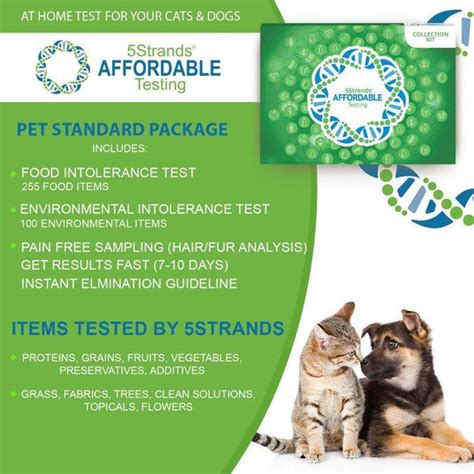 Affordable Pet Food And Environmental Intolerance Test Kit 5strands Te