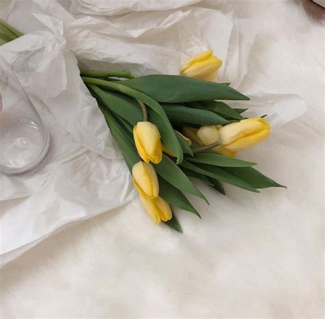 ⋮𝙙𝙤𝙧𝙠𝙮𝙡𝙪𝙫 Flower Aesthetic Yellow Tulips Yellow Aesthetic Pastel