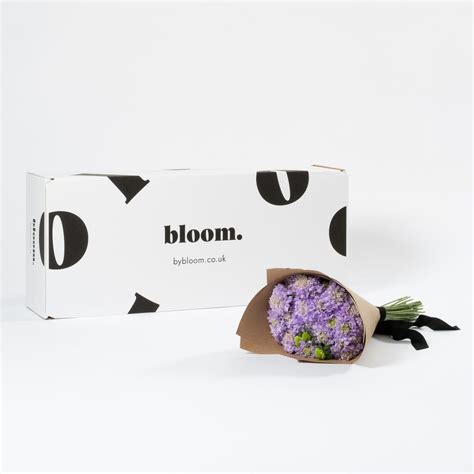 Lavender Purple Scabiosa Sustainable Florist Bloom