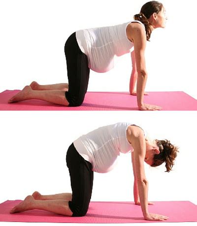 Yoga can be very beneficial during pregnancy, as long as you take certain precautions. sarcina-yoga-cat-cow - SAMAS : SAMAS