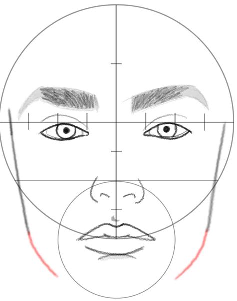 Human Body Drawing Human Face Face Drawing Face Proportions Drawing